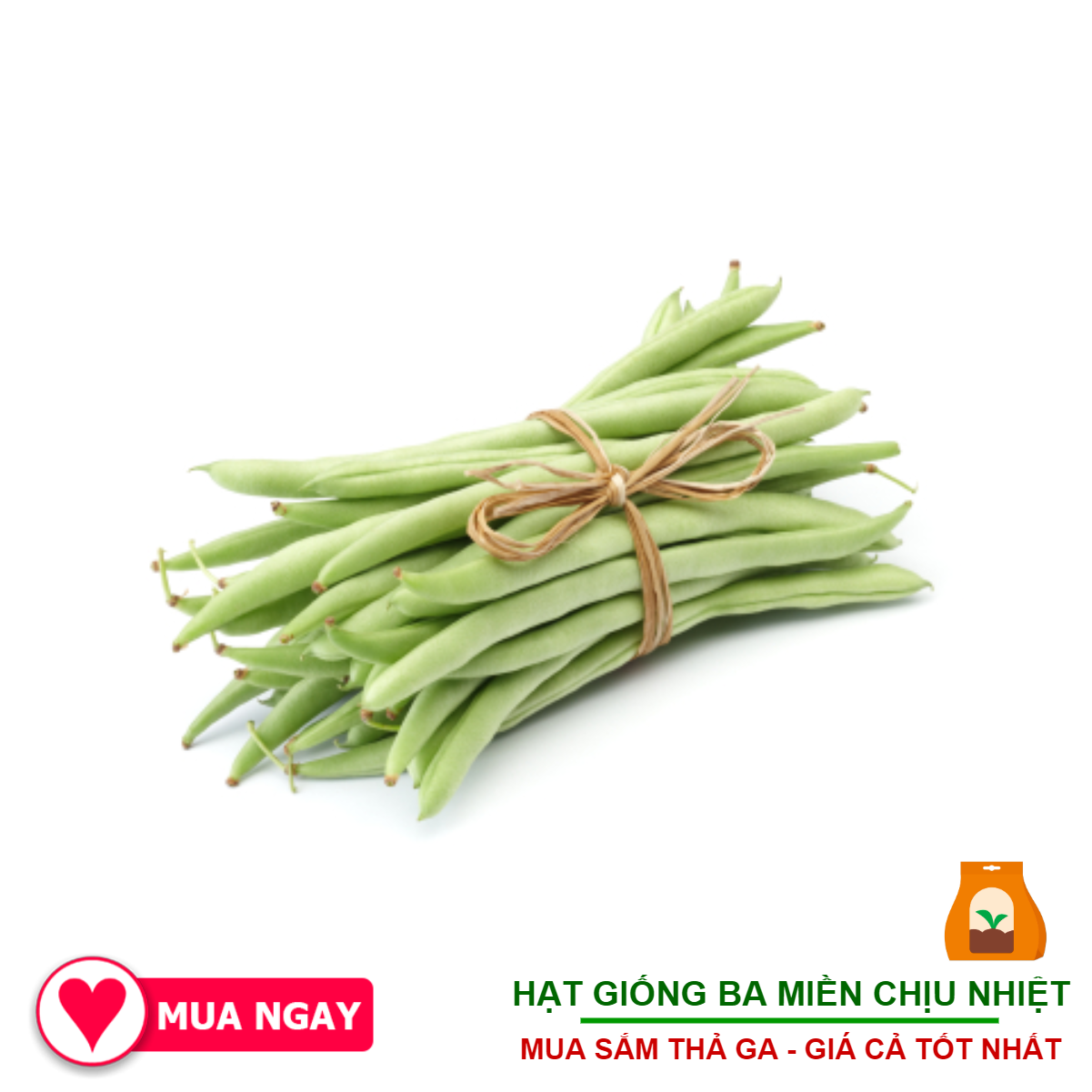 Hạt Giống Đậu Cove Cao Sản 20Gram