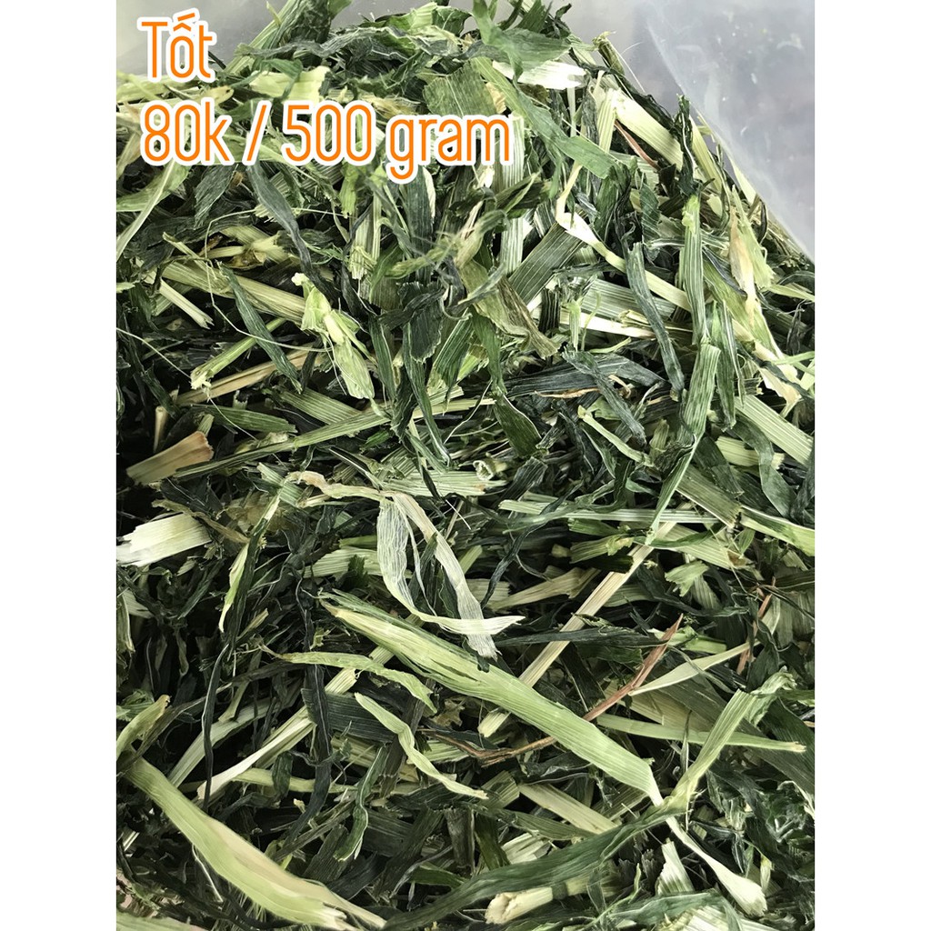 Cỏ Lúa Mạch 🐹FREESHIP🐹 50 Gram Cỏ Lúa Mạch Thức ăn dành cho Thỏ Và Bọ