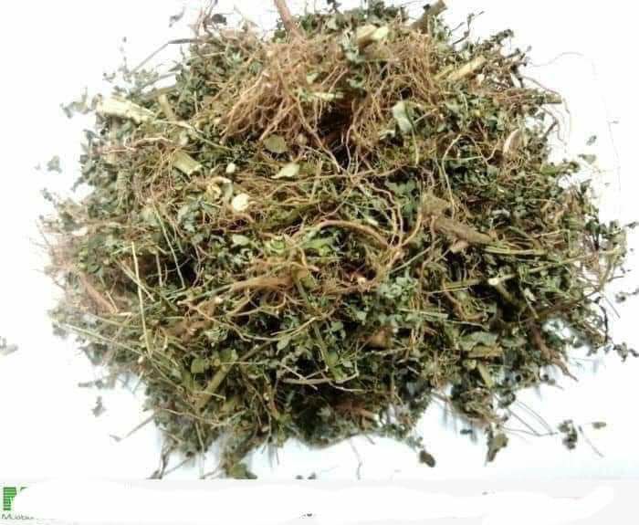 Cây chó đẻ khô (diệp hạ châu 1kg)