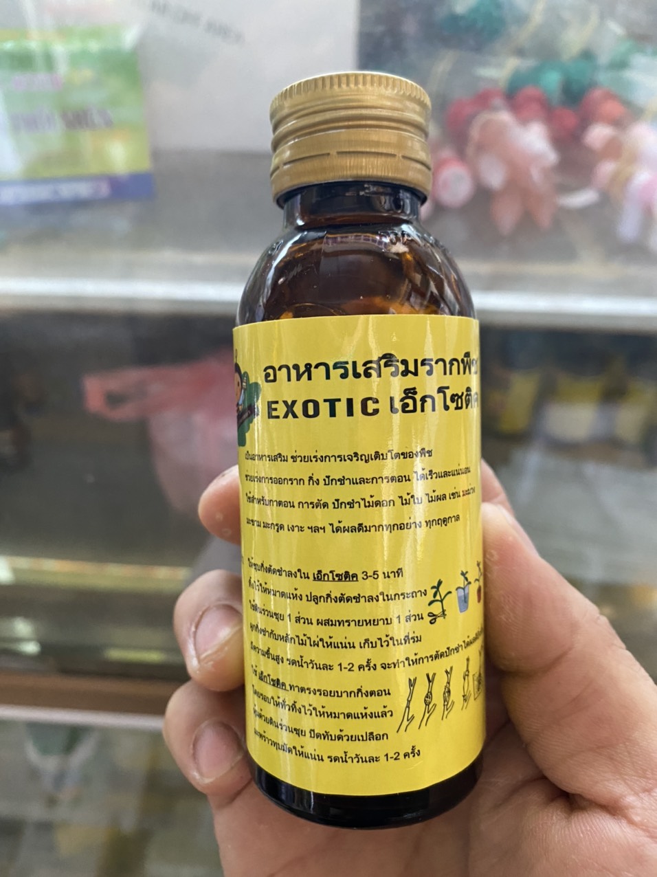 Kích rễ Thái Lan Exotic kích rễ giâm ghép cành chai 100ml