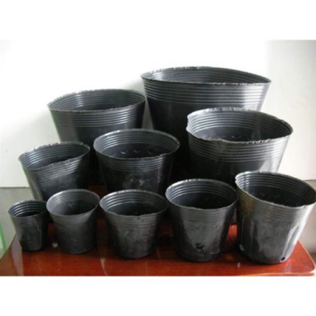 1kg túi bầu ươm cây nhựa dẻo size tuỳ chọn loại 1 kt 10x12 và 13x12
