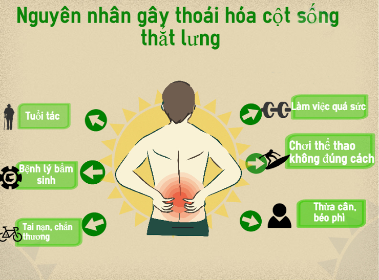 Hạt đười ươi - 1kg