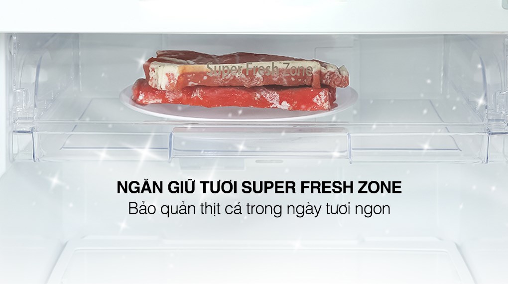[TRẢ GÓP 0%] Tủ Lạnh Casper Inverter 238 Lít RT-250VD  (Giá áp dụng giao tại HN, HCM& các tỉnh liên hệ shop)
