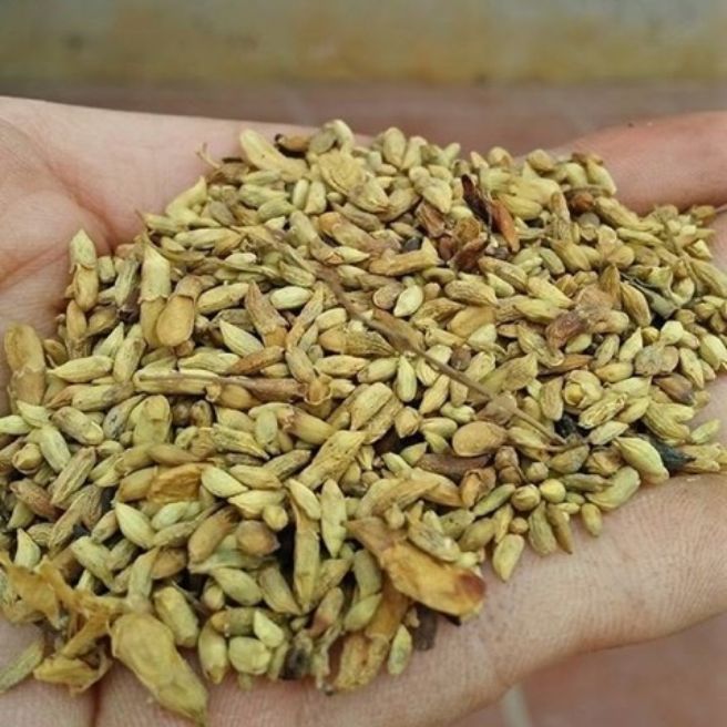 500g hoa hoè khô