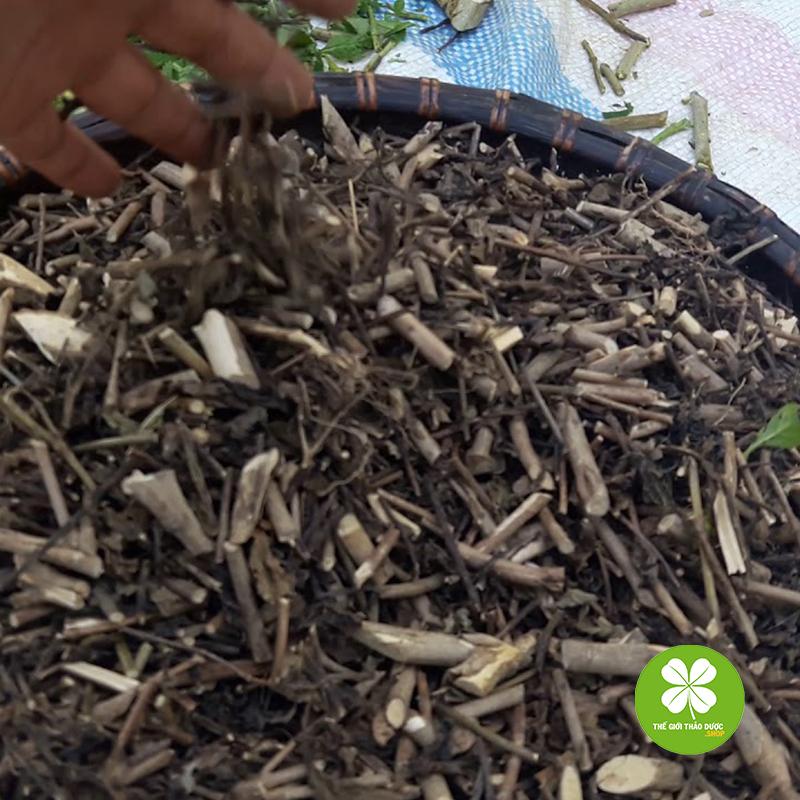 Cây đuôi chuột (500g khô) - TD191