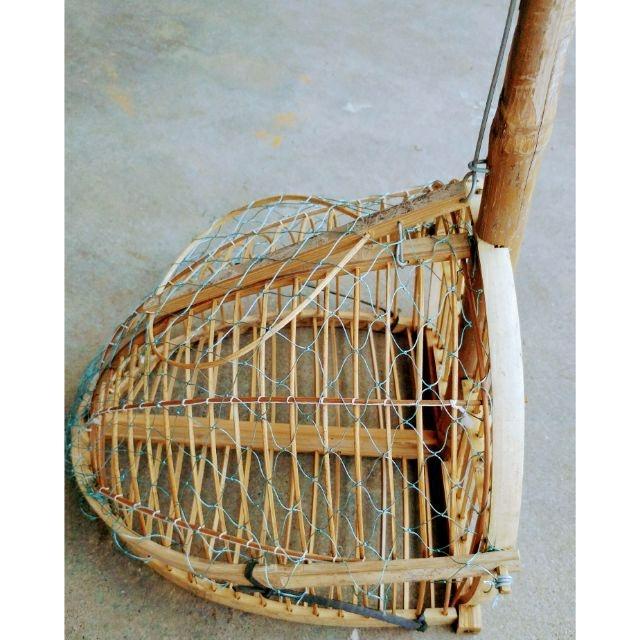 Lồng bẫy chim chào mào giá rẻ