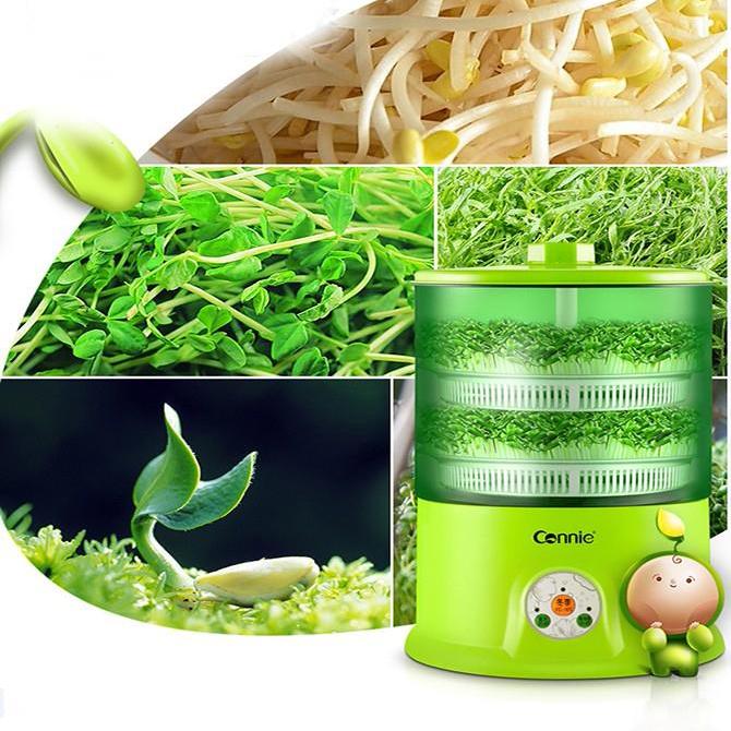 Máy làm giá đỗ rau mầm tự động 3 tầng Vango(Năng suất: 100gr đỗ xanh cho ra 1- 1.5 kg giá đỗ thành phẩm)