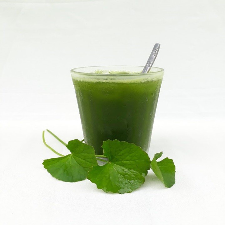 Giống Rau Má - Gói 1 Gram