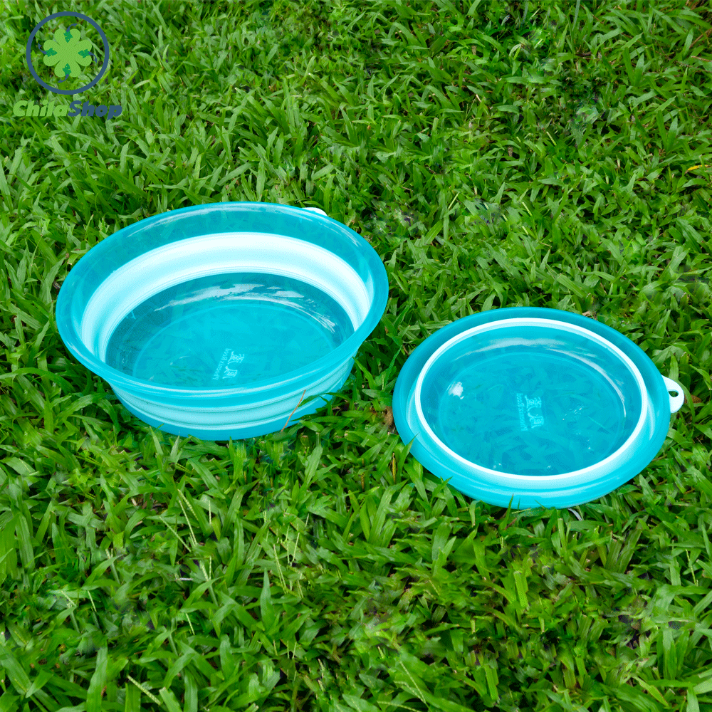 THAU XẾP PHOENIX