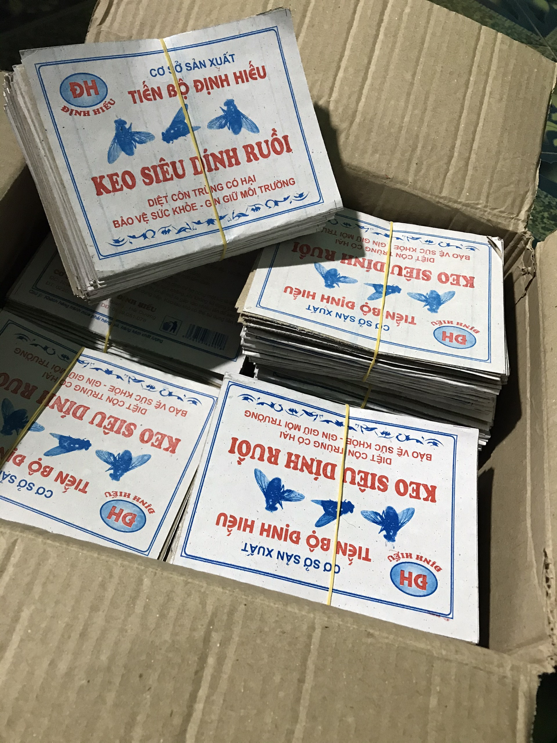 Combo 100 Miếng keo dính ruồi Siêu Dính