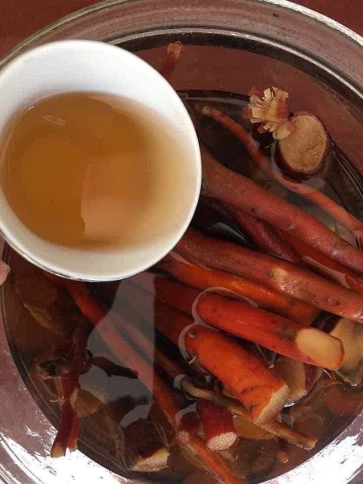 SÂM CAU ĐỎ 1kg tốt cho sức khỏe