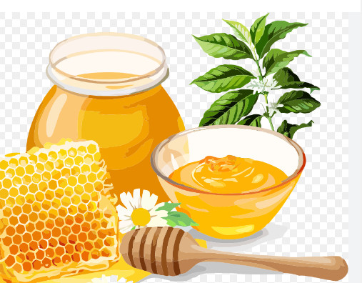 Mật Ong Hoa Cà Phê Miele 300g và 700g
