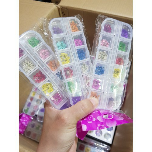 [HCM]SET HOA KHÔ TRANG TRÍ MÓNG - hoa khô