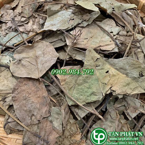 Premium Dried Vong Nem Leaf Tea 500g - Tan Phat Herbal Medicine