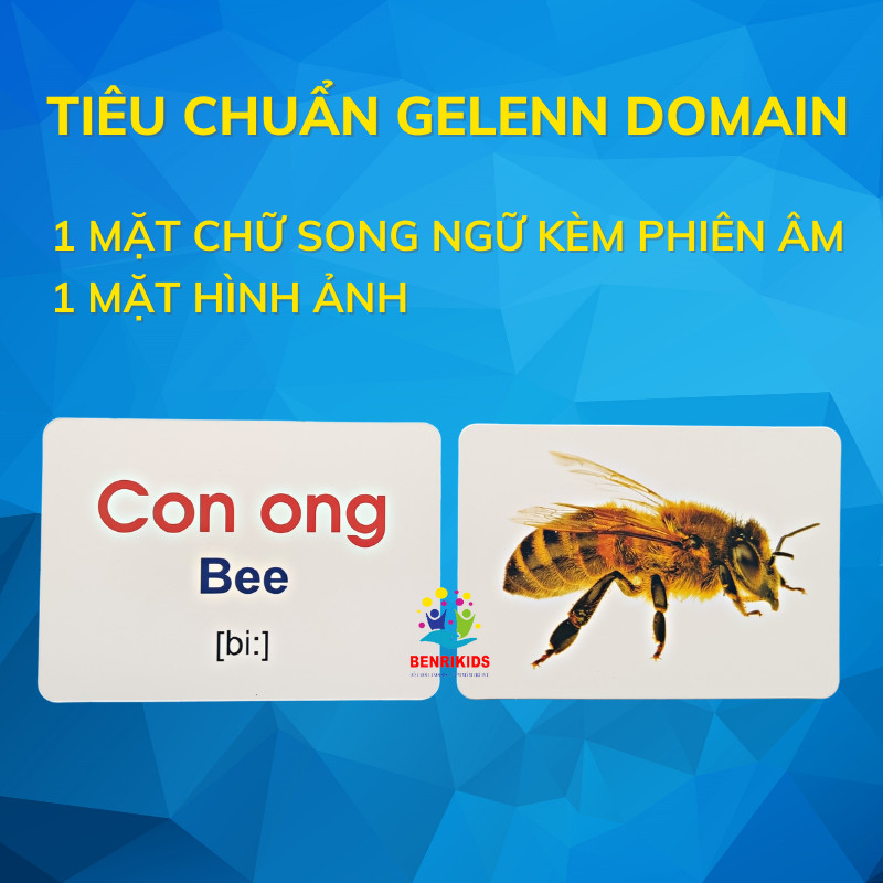 15x21cm big A5 type smart learning card set educational learning alphabet letters English flash card teaching world ID card
