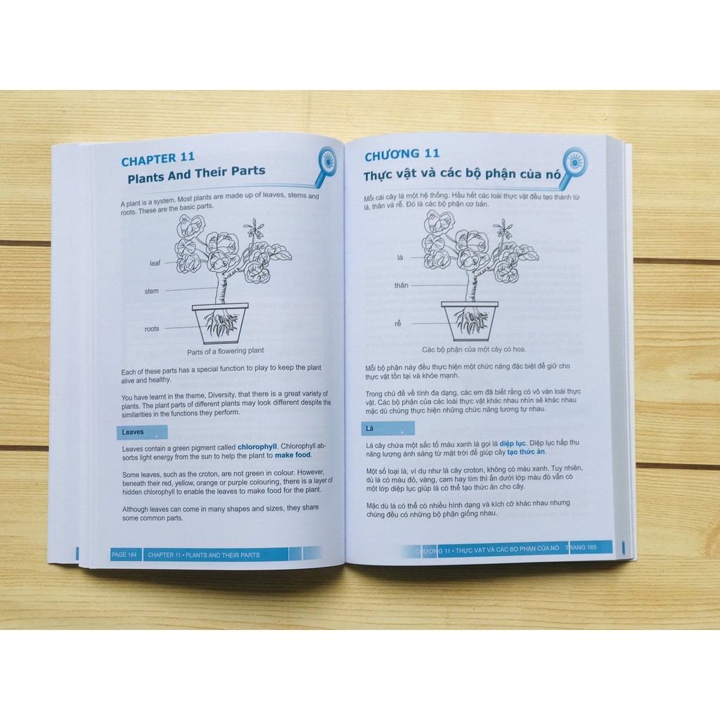 Sách : Khám Phá Thế Giới Khoa Học - Science Partner 1