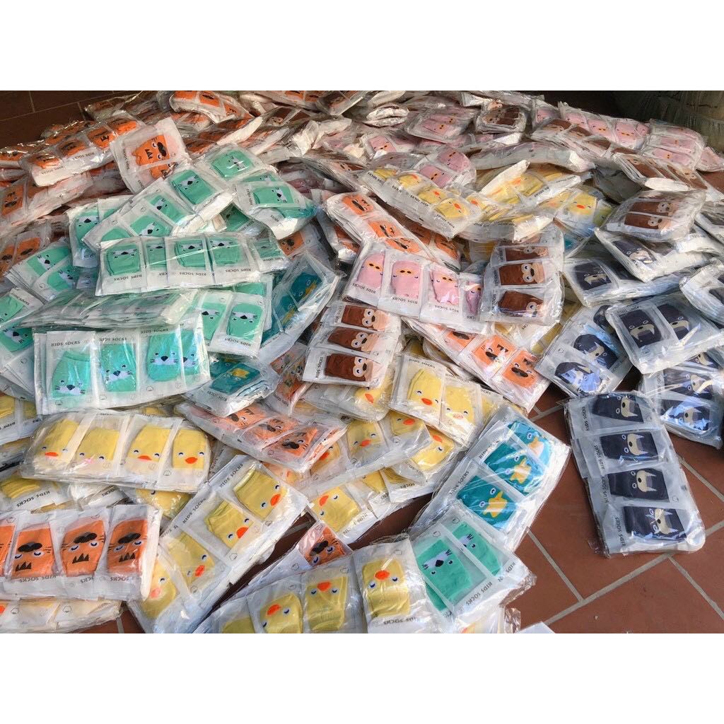 Set 10 đôi tất hàng chống trượt cho bé