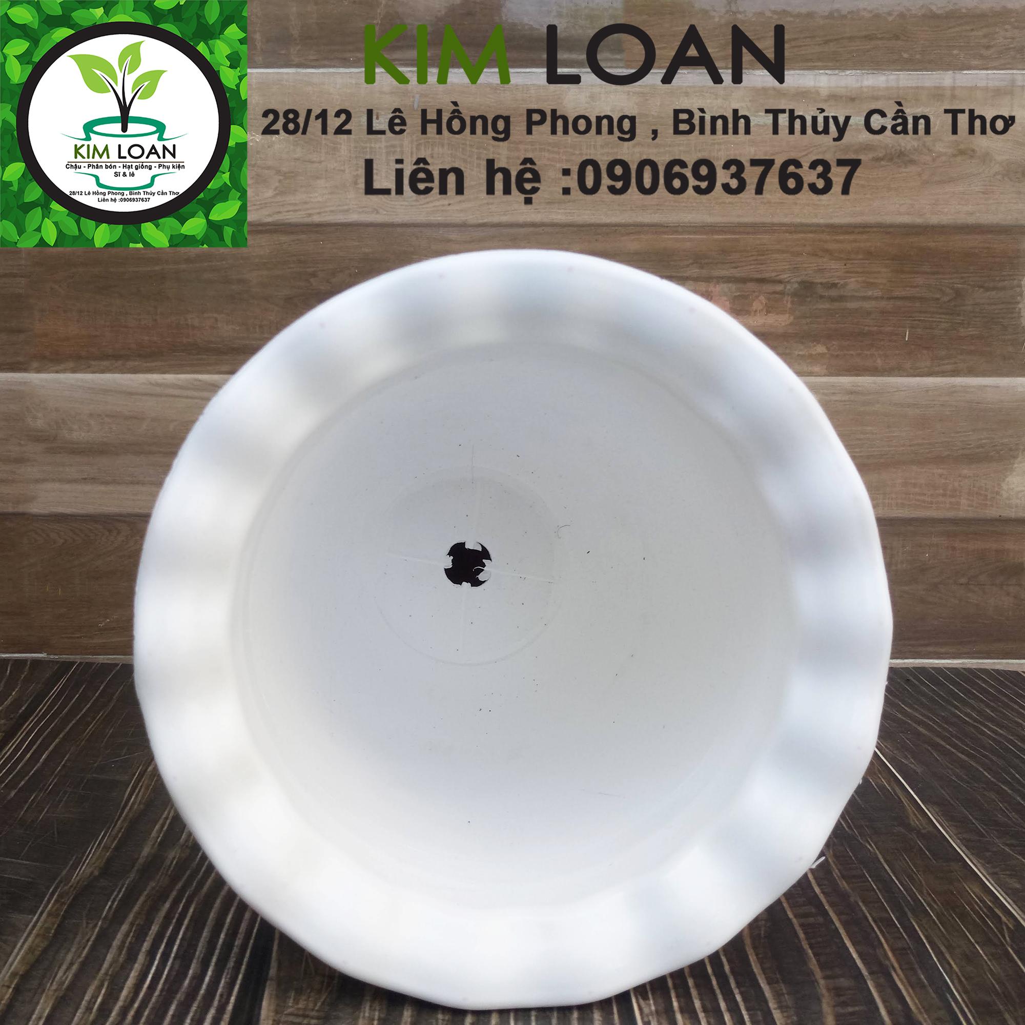 Combo 2 chậu ly kem hoa văn cò bắt cá 23x30cm