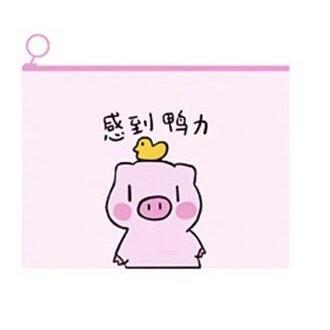 [HCM]Túi đựng bút cute hình HEO HỒNG
