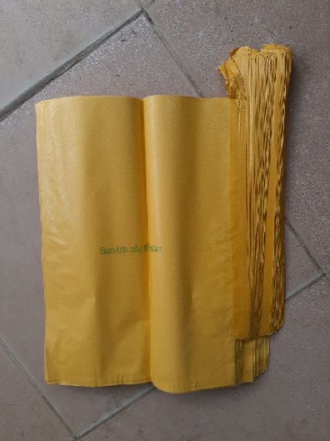 TÚI BAO TRÁI ( BƯỞI, XOÀI...) 500 túi