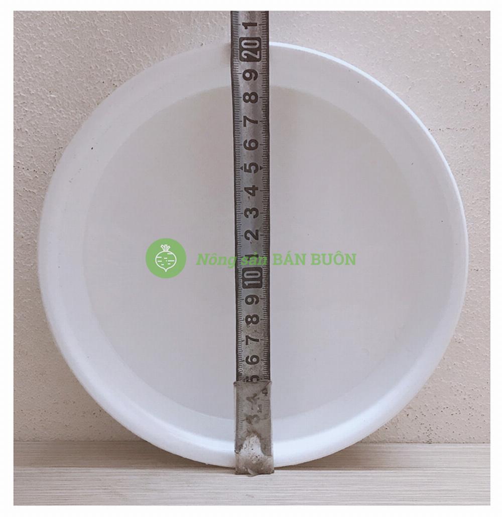 5 Khay (Đĩa) Lót Đế Chậu D200 Binh Thuan Plastics - Màu Trắng