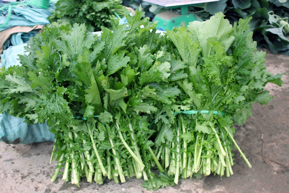 10 Chiếc Hạt rau cải mèo