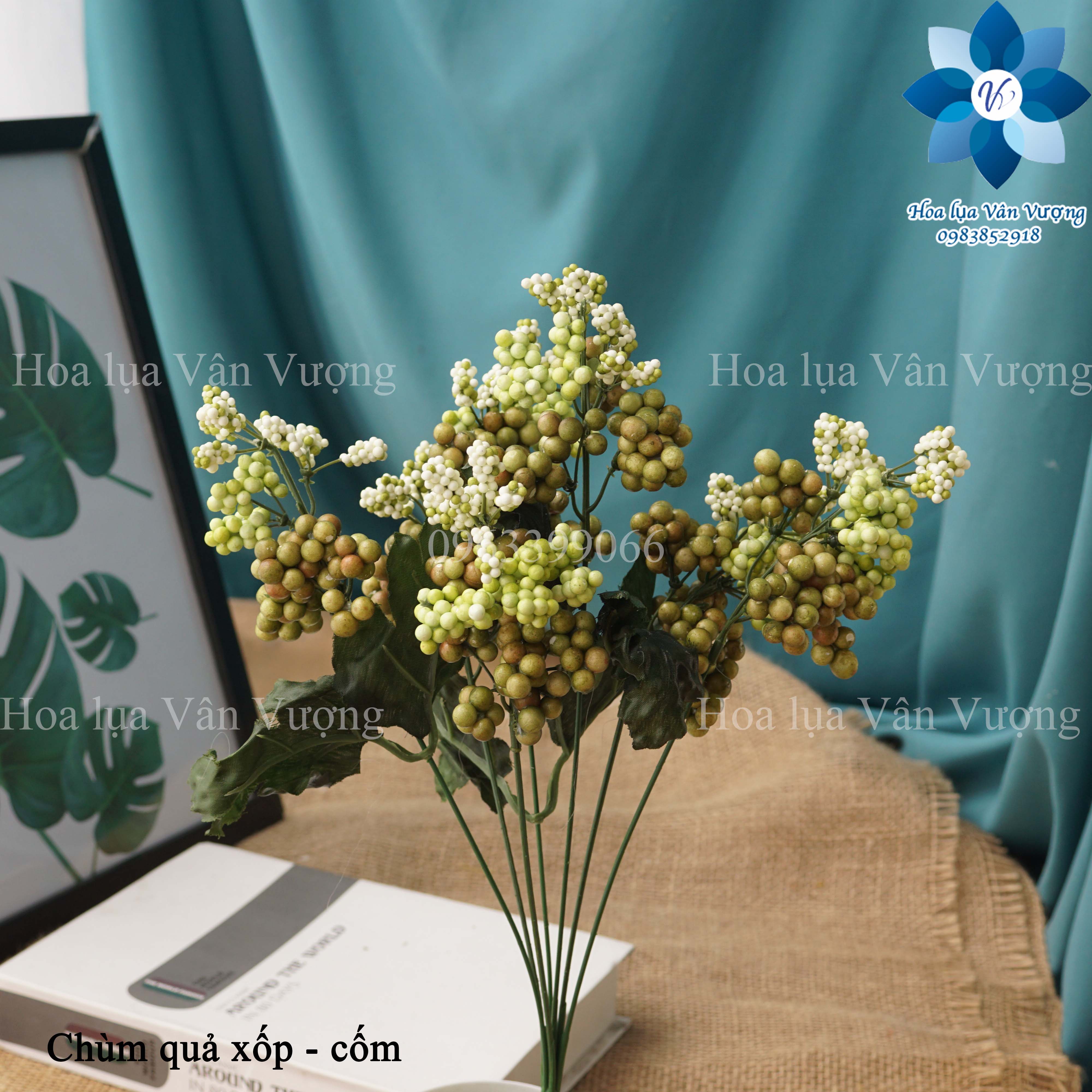 Hoa Giả, Chùm Quả Xốp Điểm