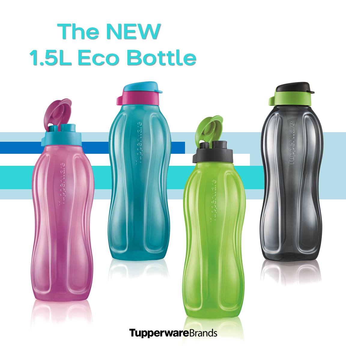 Bình nước Tupperware Eco Bottle nhiều dung tích tùy chọn
