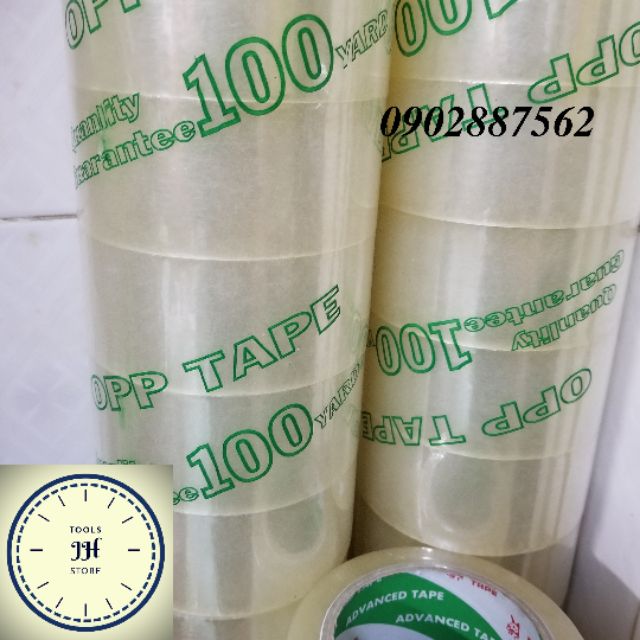 Cây băng keo trong 100y đủ