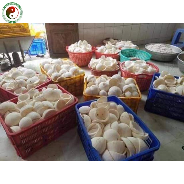 Dầu Dừa Nguyên Chất Ép Lạnh Organic Dưỡng Da