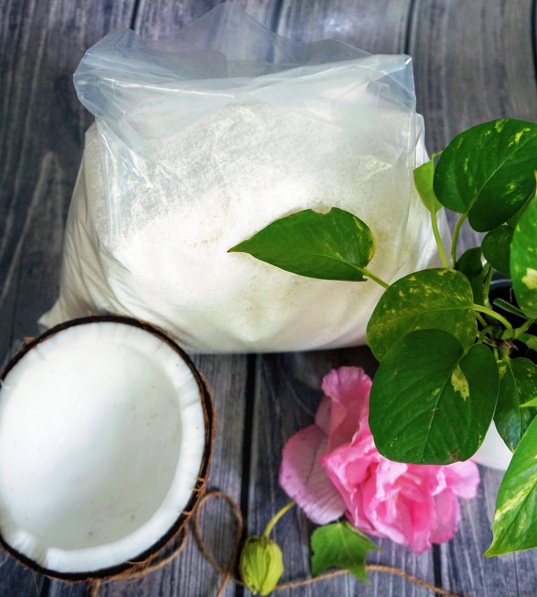 Cơm dừa sấy Phale - Coconut fiber -1KG