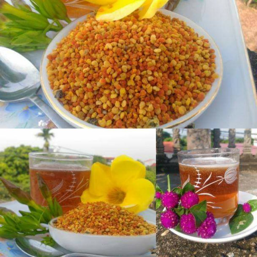 Phấn hoa mật ong