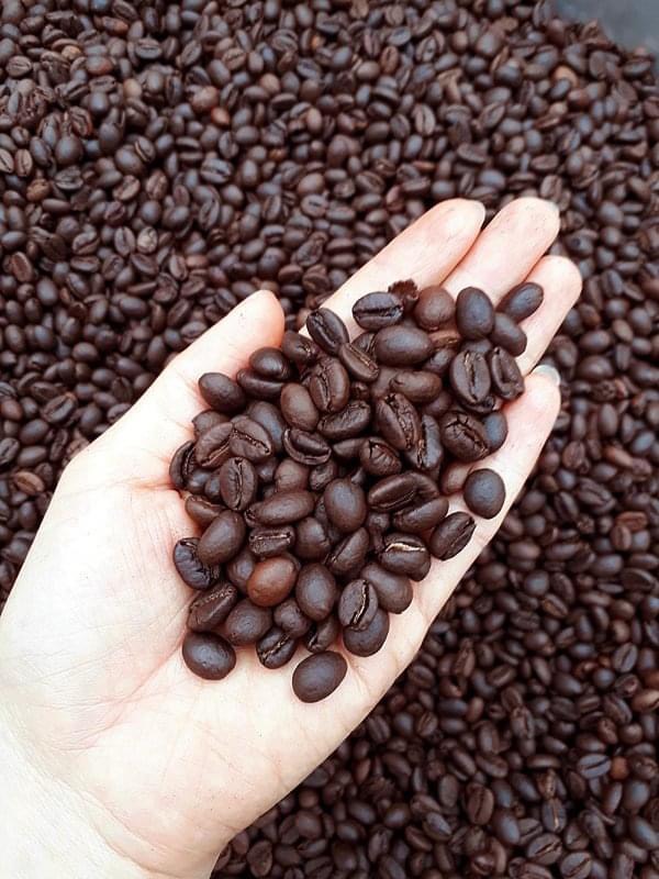 Mẫu thử cà phê rang xay nguyên chất 20g