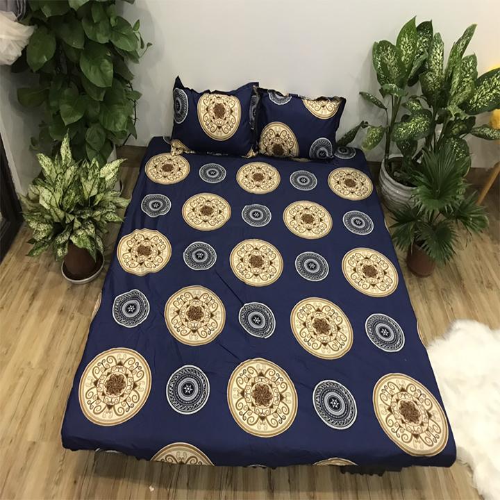 Set ga gối cotton poly mẫu đồng xu