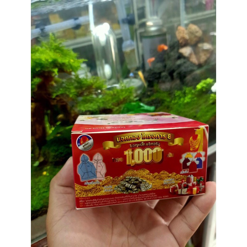 Body Kone Thái Lan mẫu mới
