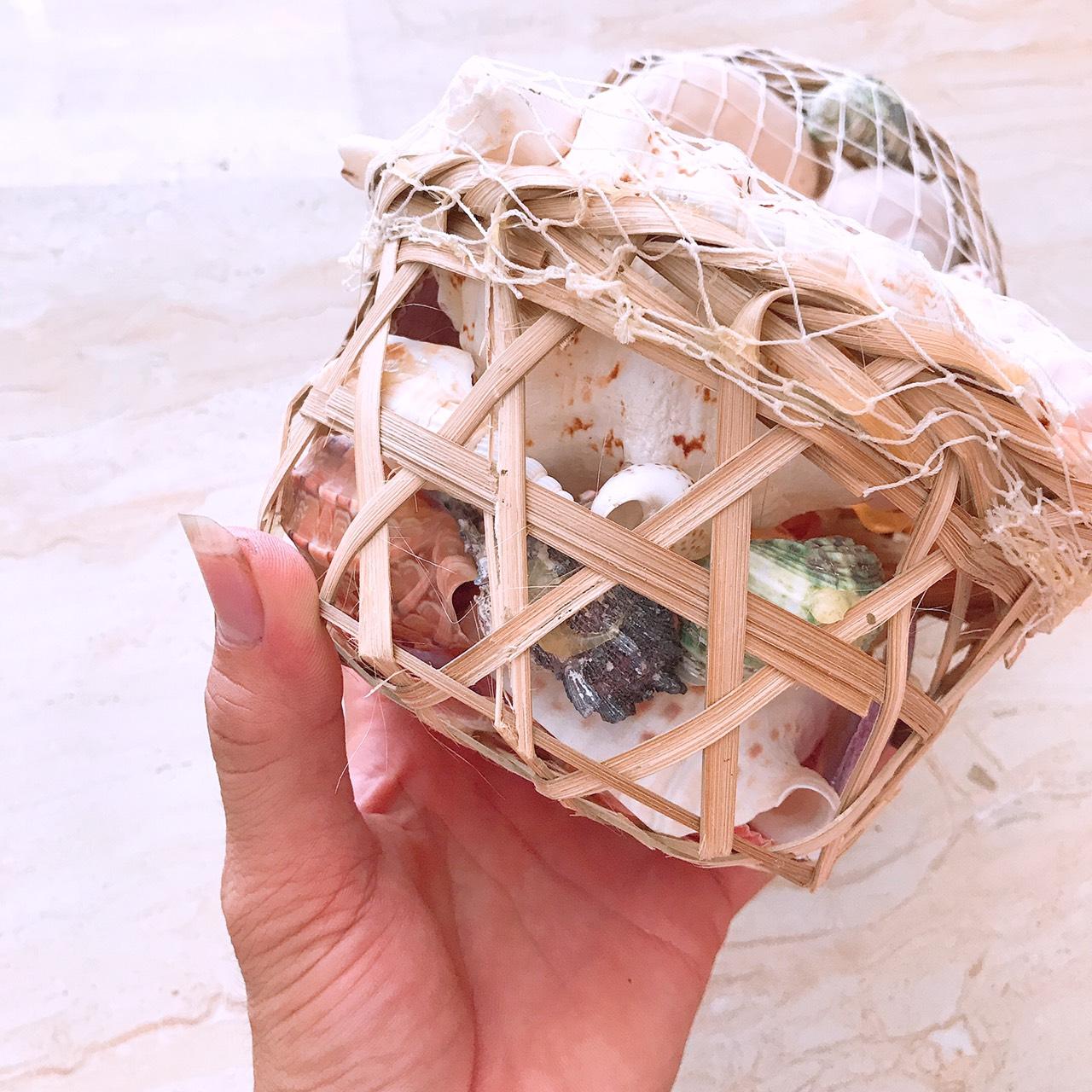 vỏ ốc vỏ sò - giỏ vỏ ốc siêu đẹp trang trí [ 1 giỏ y hình ]