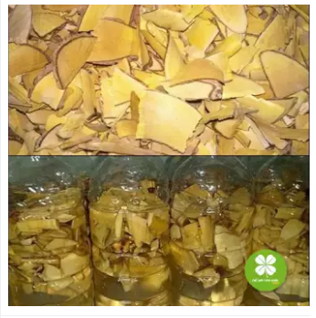 Cây mật nhân (gói 1kg) - OLF010