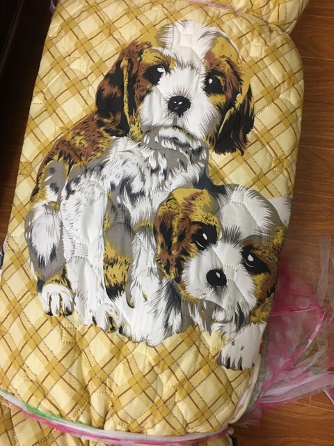 Chăn Hè Thu cotton loại đẹp