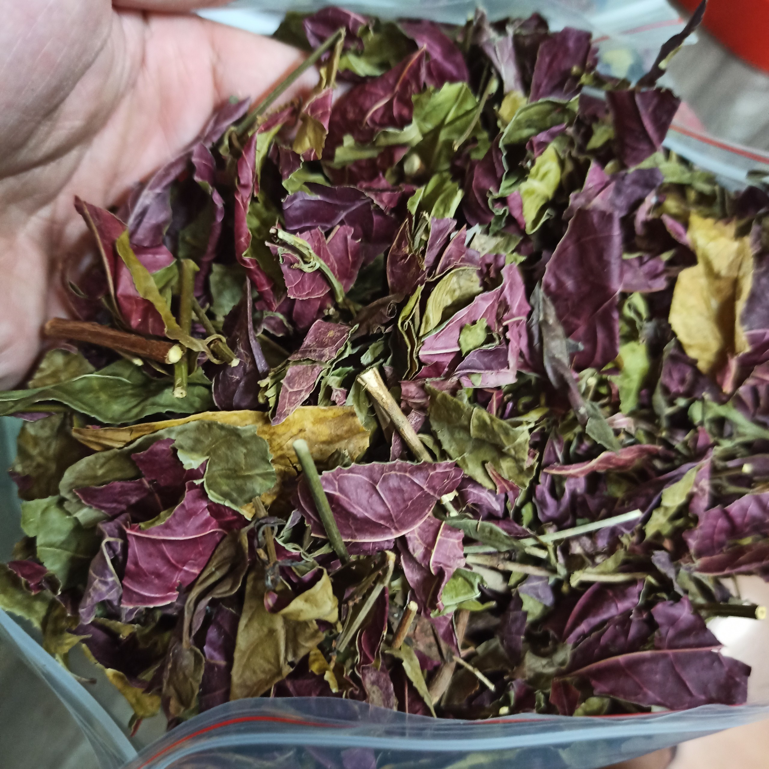 Cây Đơn Lá Đỏ khô (1KG) - DV150