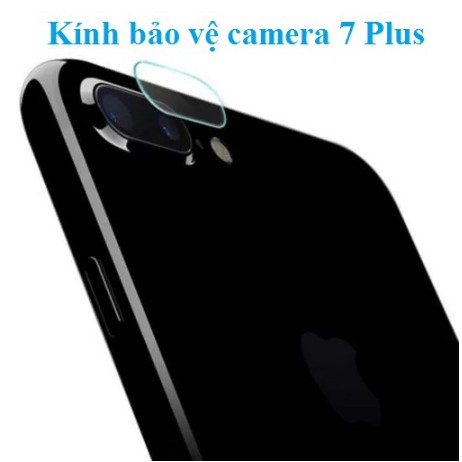 Kính bảo vệ camera Iphone 7Plus/8Plus