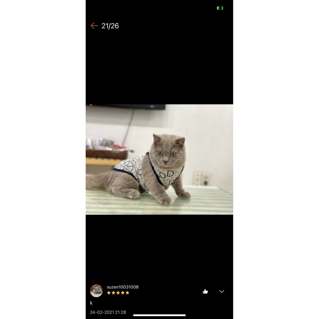 [Mã PET20K giảm 20K đơn 250K] Áo Ba lỗ Thun 4 chiều mát mẻ dành cho chó mèo ( P1)