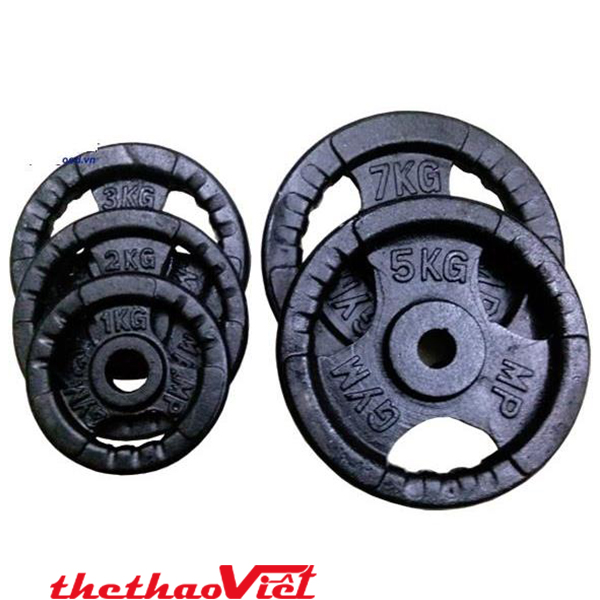 Bánh tạ gang phi 28 loại 3kg