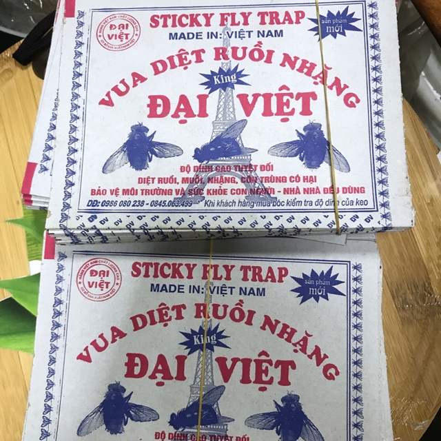 Miếng dán Ruồi Siêu Dính