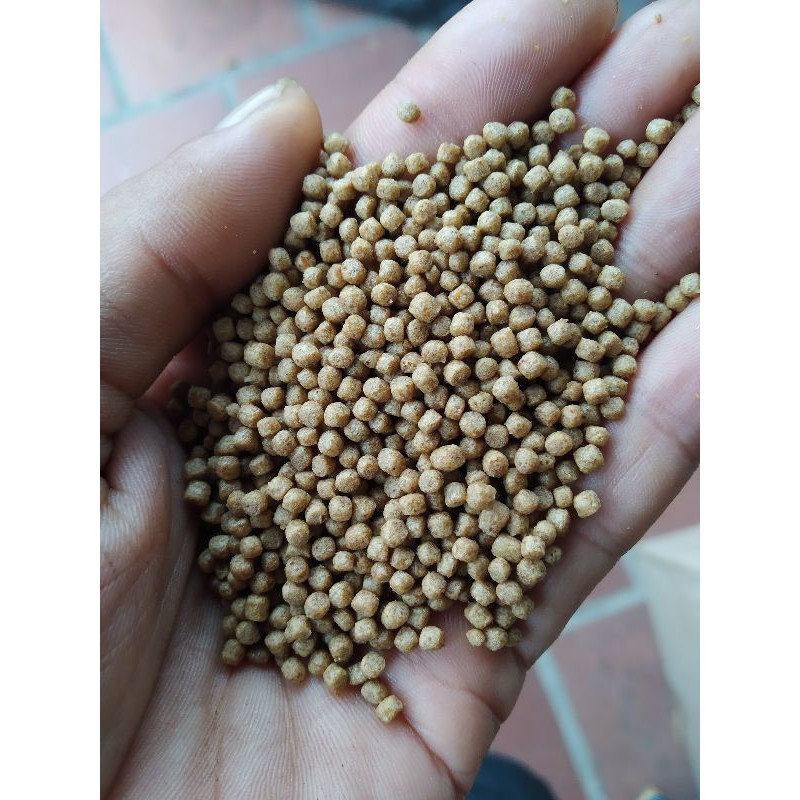 1kg Cám cá Koi, cá vàng Gold Koi Feed AF CA01 hạt 1ly (40% đạm)