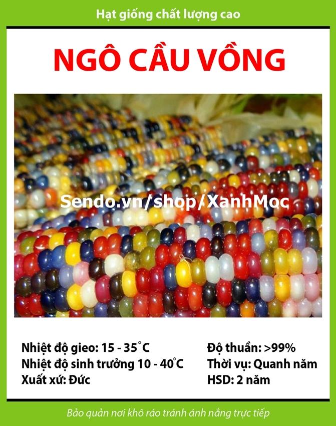 Hạt giống Ngô cầu vồng