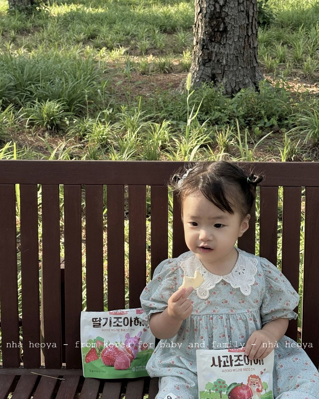 HOA QUẢ SẤY KHÔ IVENET GÓI 15G