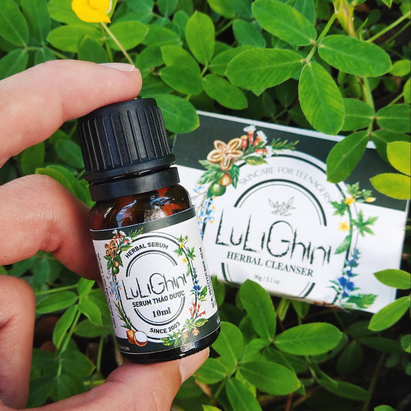 Herbal Serum Lulighini - Tinh dầu thảo dược