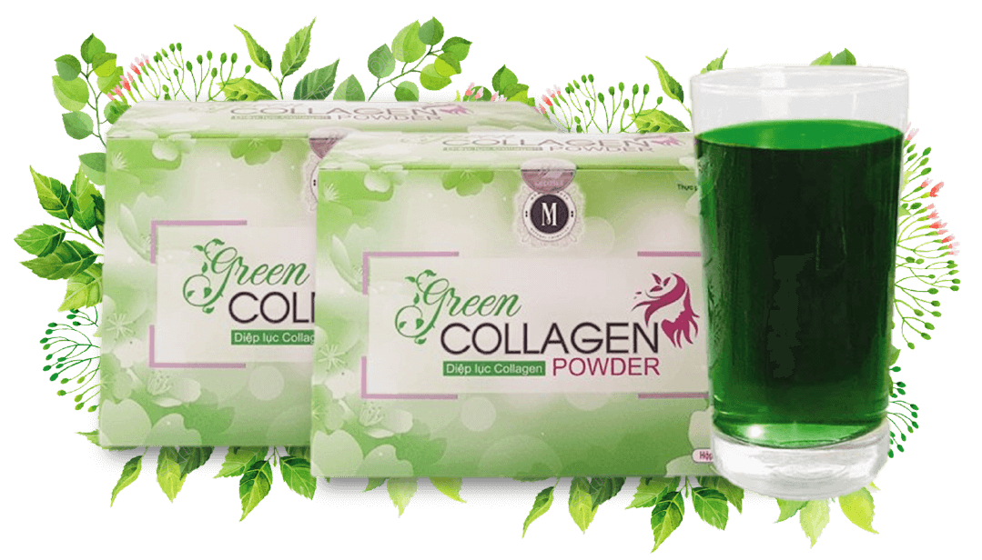 DIỆP LỤC COLLAGEN (GREEN COLLAGEN POWDER)