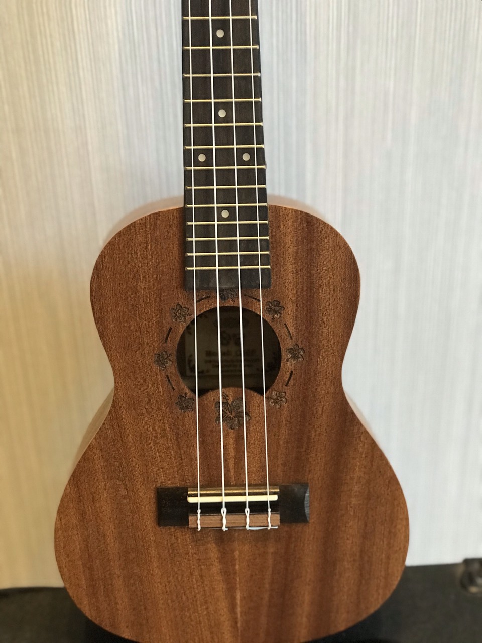 Đàn Ukulele concert Ukaku C10F Cao cấp
