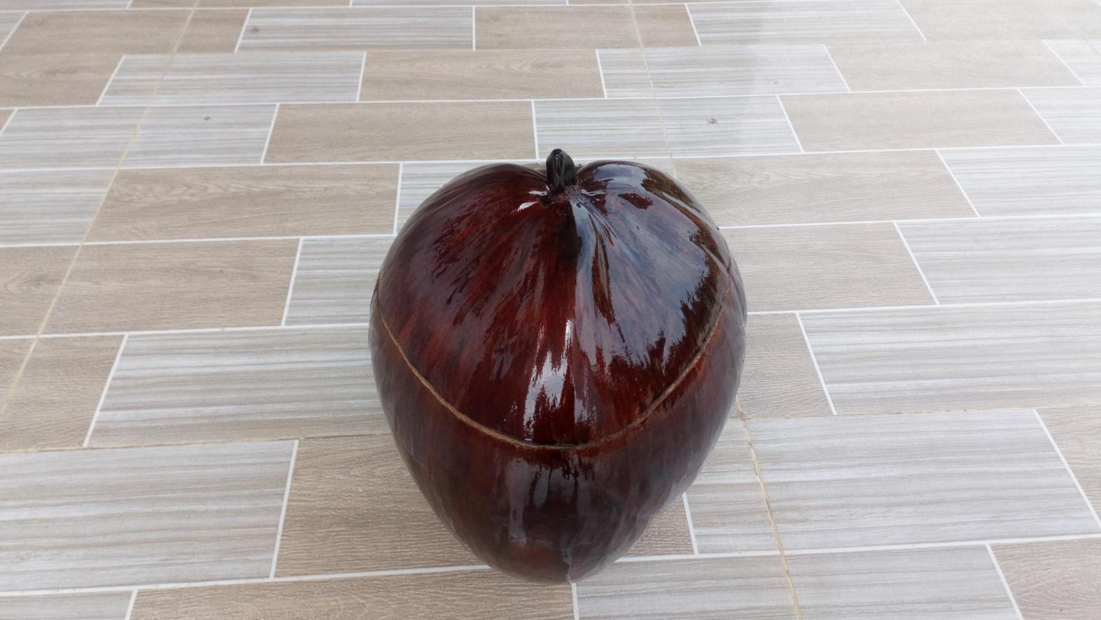 Bộ vỏ bình trà và bình trà cỡ nhỏ (khoảng 450-500ml)